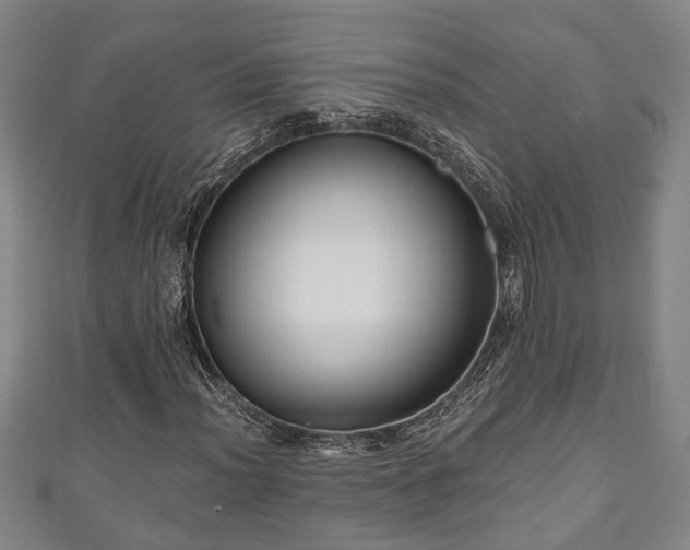 X0000111171012200907081210