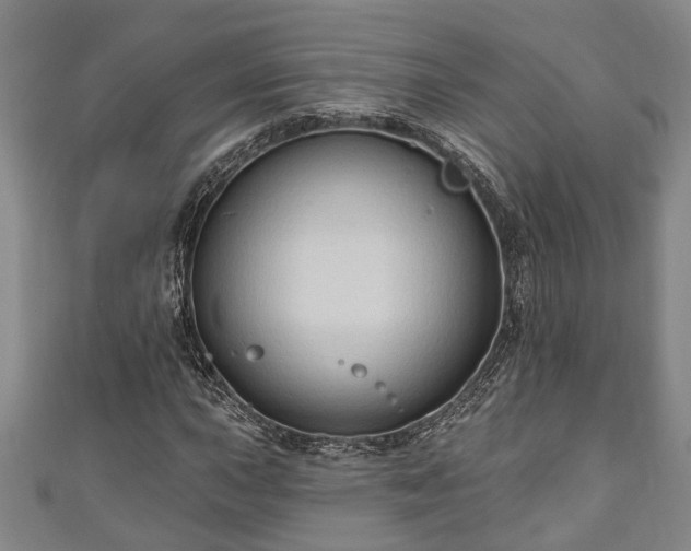 X0000111171015200907081210