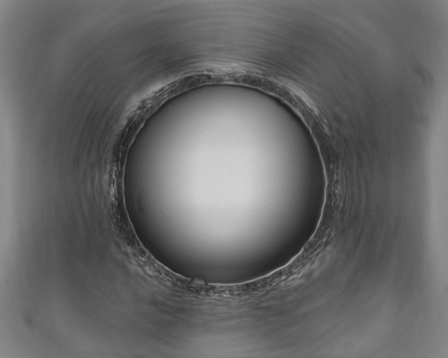 X0000111171016200907081210