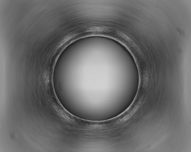 X0000111171017200907081210