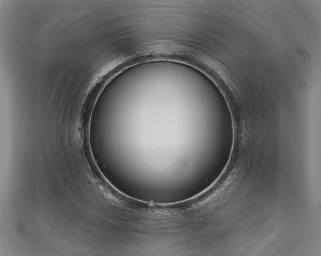 X0000111171018200907081210