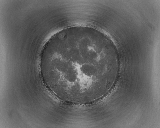 X0000111171019200907081210