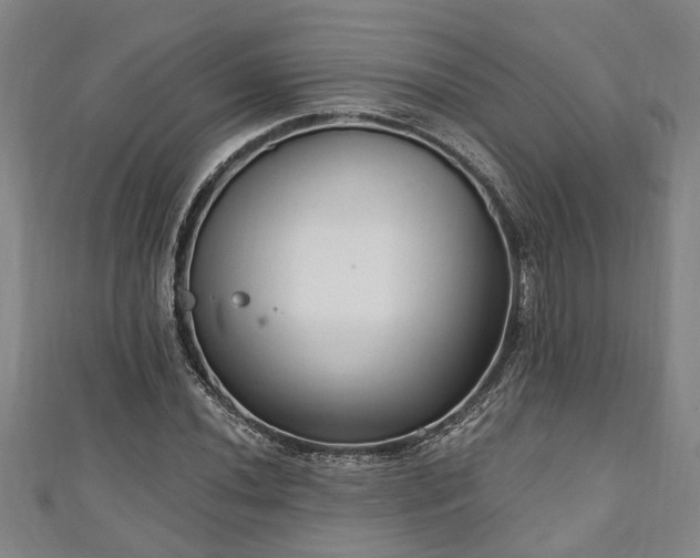 X0000111171020200907081210