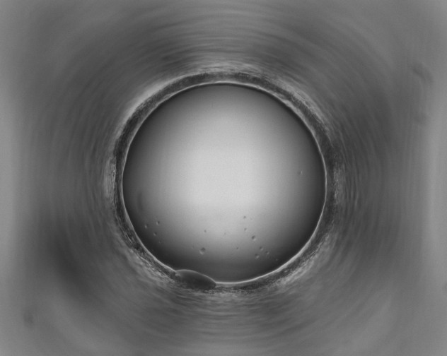 X0000111171021200907081210