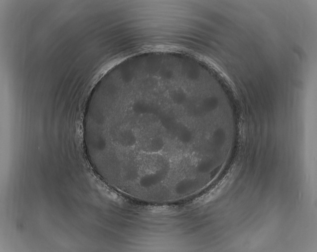 X0000111171025200907081210