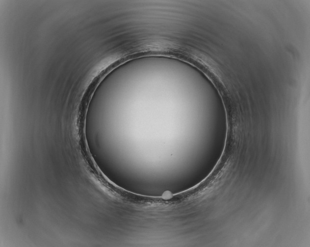 X0000111171026200907081210