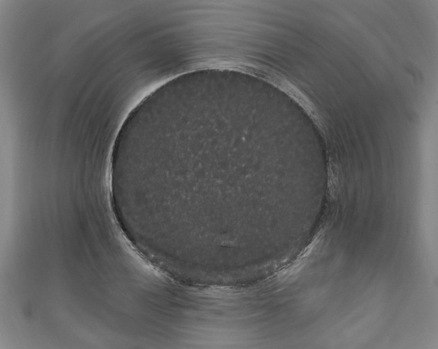 X0000111171028200907081210