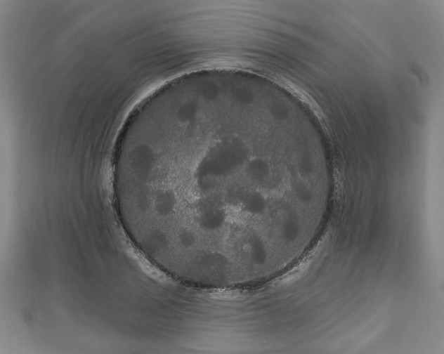 X0000111171029200907081210