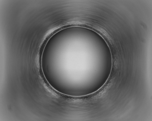 X0000111171030200907081210