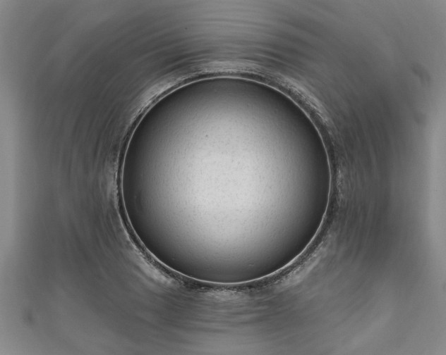 X0000111171033200907081210