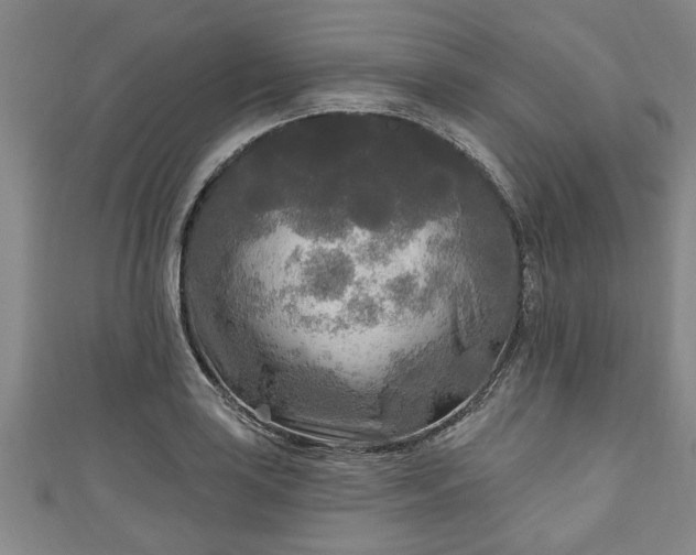 X0000111171035200907081210