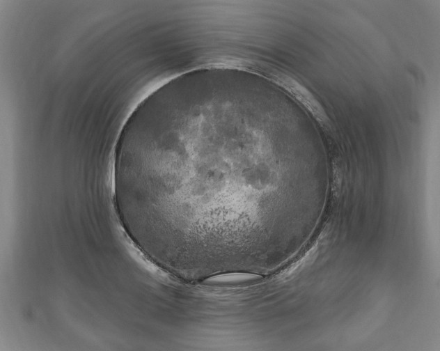 X0000111171036200907081210