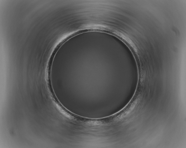 X0000111171037200907081210