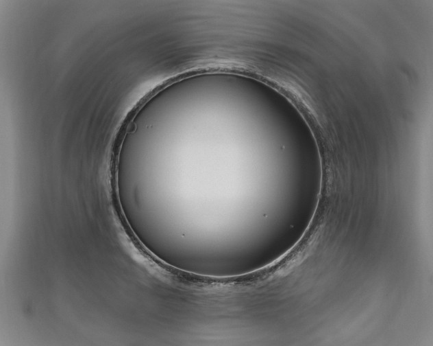 X0000111171038200907081210