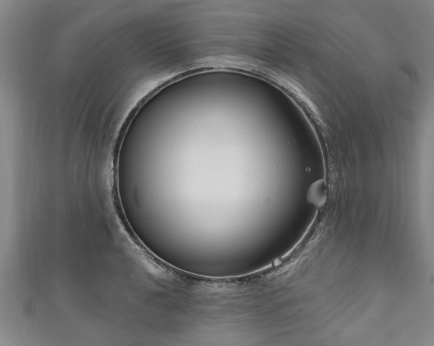 X0000111171040200907081210