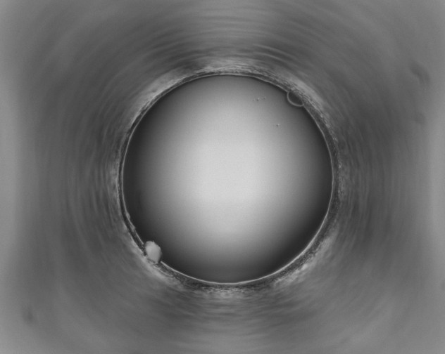 X0000111171041200907081210