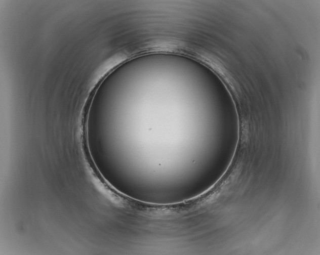 X0000111171042200907081210