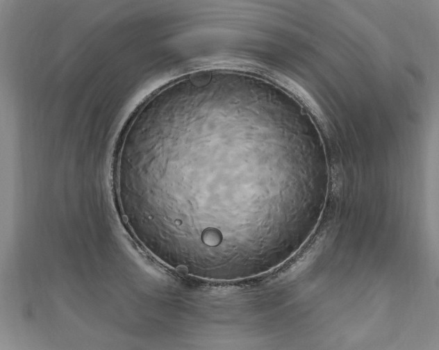 X0000111171043200907081210