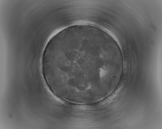 X0000111171045200907081210