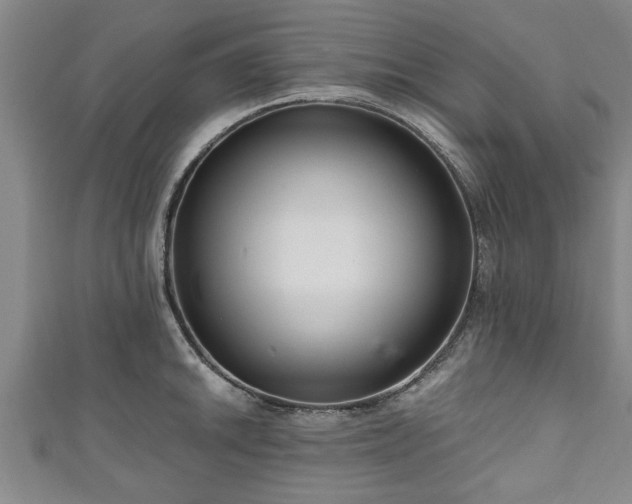 X0000111171046200907081210