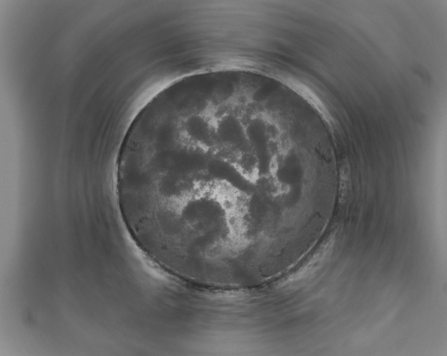 X0000111171047200907081211