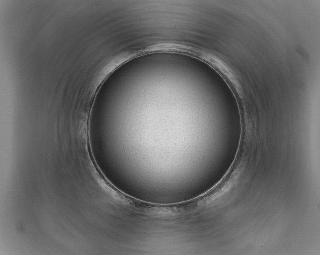 X0000111171049200907081211