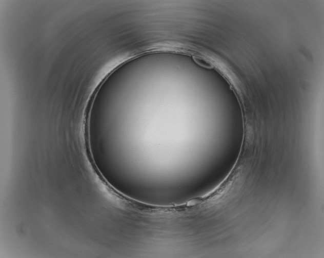 X0000111171050200907081211