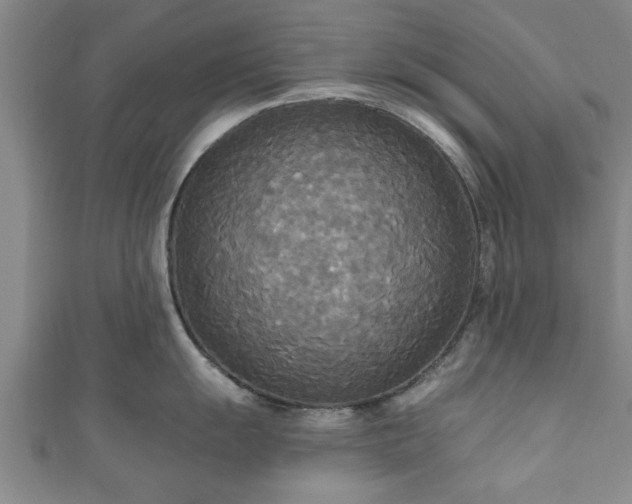 X0000111171055200907081211