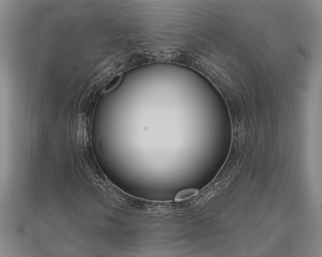 X0000111171058200907081210