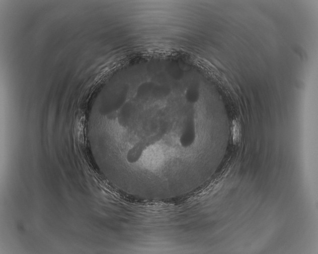 X0000111171059200907081210