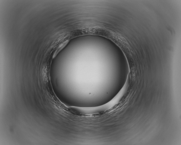 X0000111171060200907081210