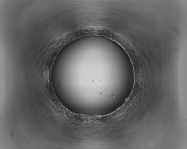 X0000111171061200907081210