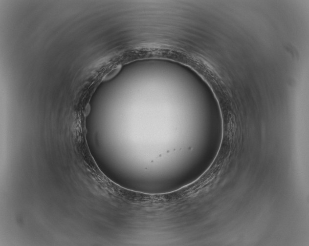 X0000111171062200907081210