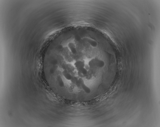 X0000111171063200907081210