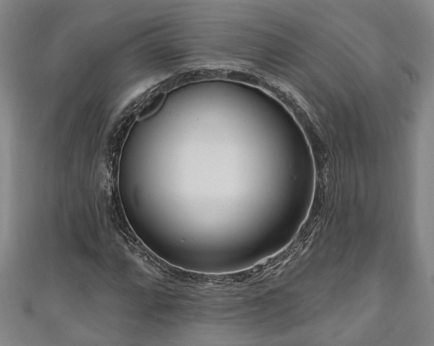 X0000111171064200907081210