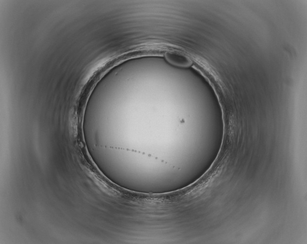 X0000111171067200907081210