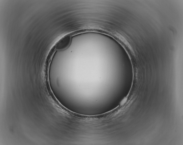 X0000111171068200907081210