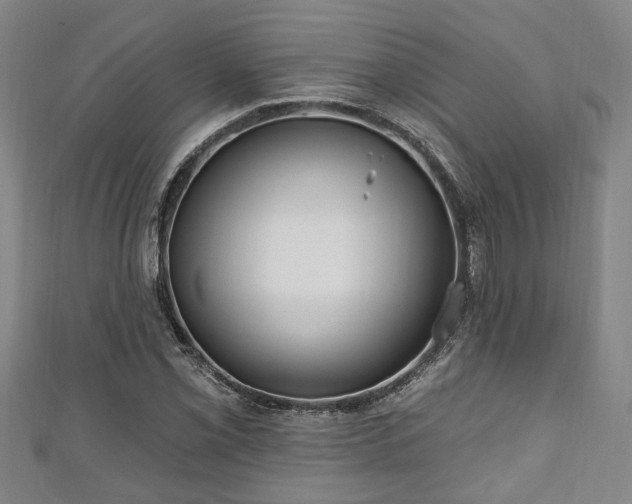 X0000111171069200907081210