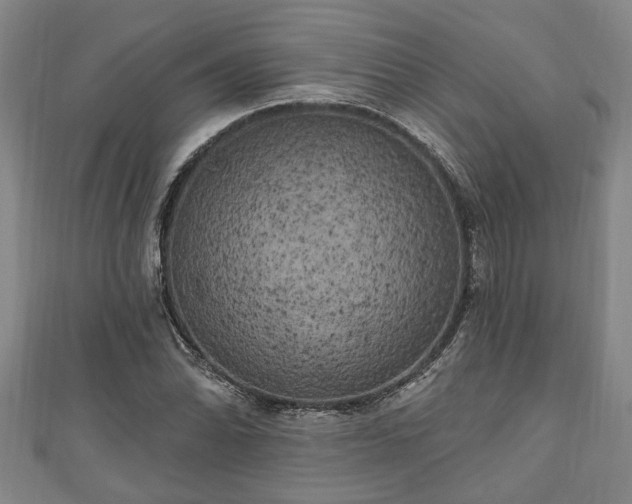 X0000111171070200907081210