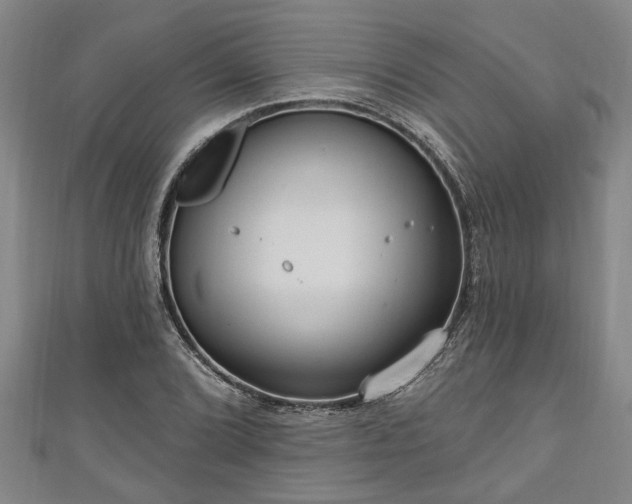 X0000111171072200907081210