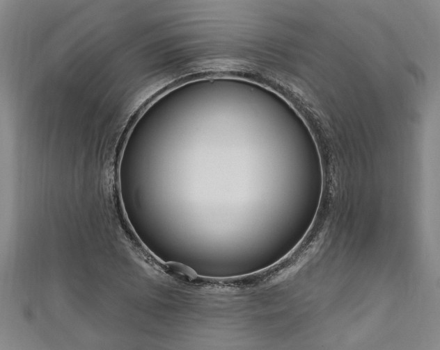 X0000111171073200907081210