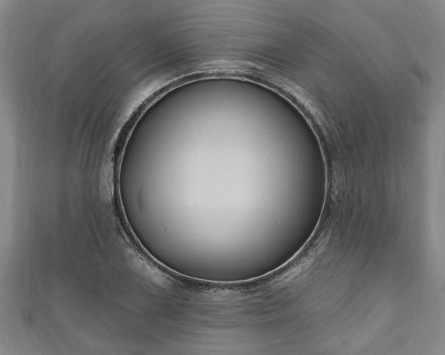 X0000111171075200907081210