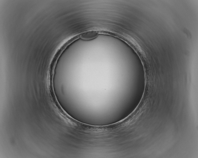 X0000111171076200907081210