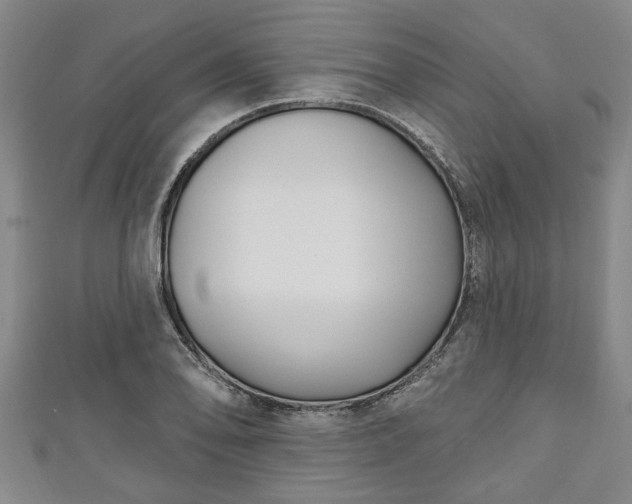 X0000111171078200907081210