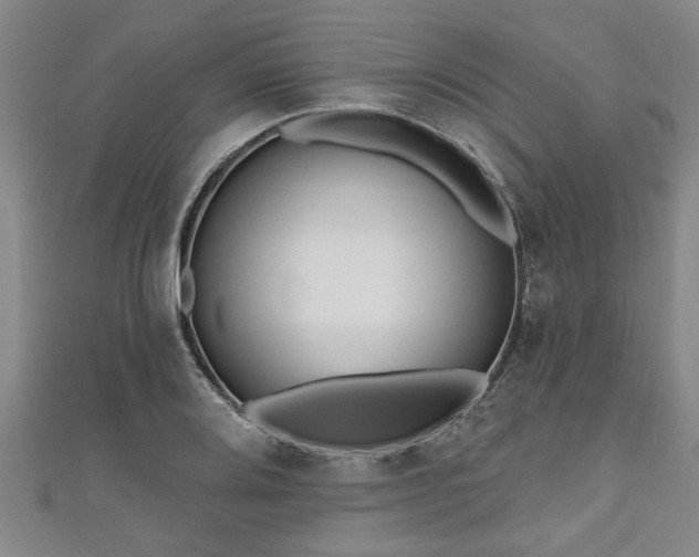 X0000111171080200907081210