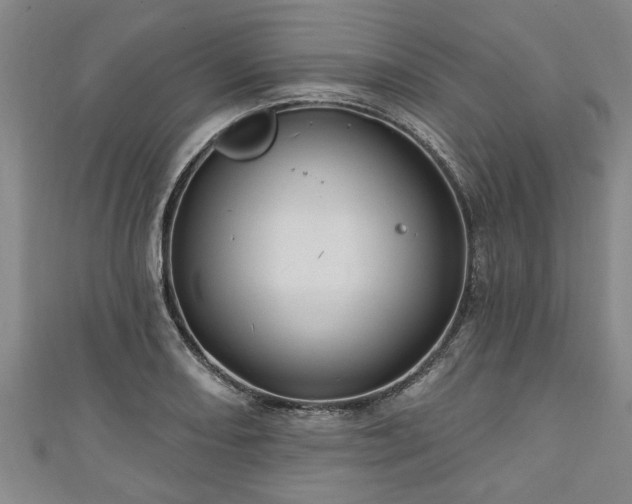 X0000111171082200907081210