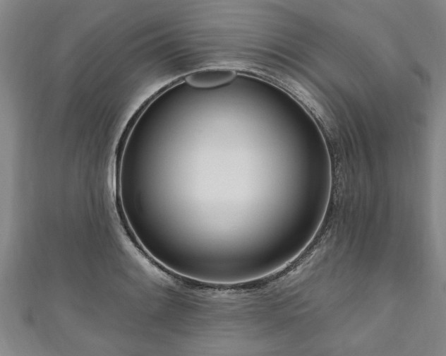 X0000111171084200907081210