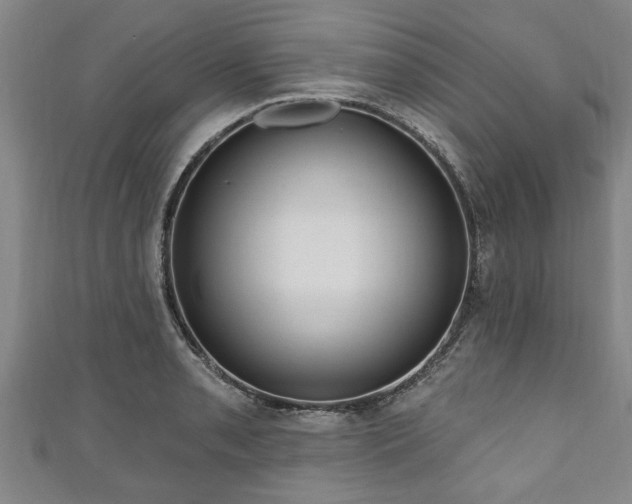 X0000111171085200907081210