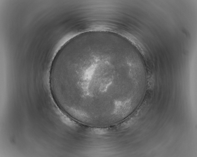 X0000111171086200907081210