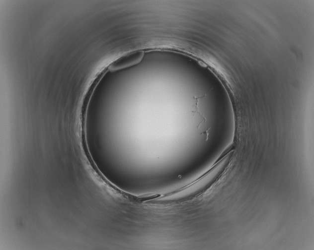 X0000111171088200907081210